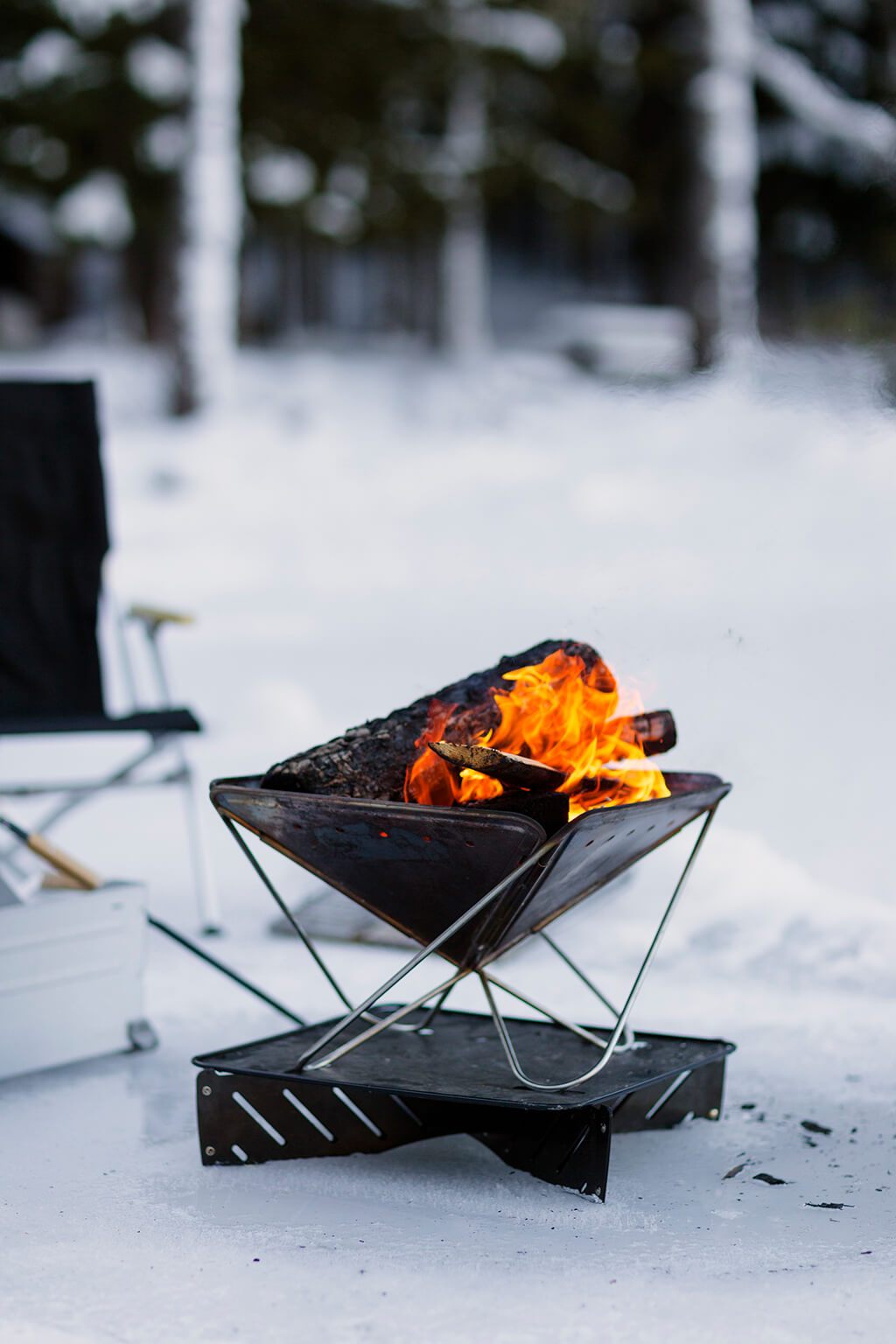 Winter Lake Adventure