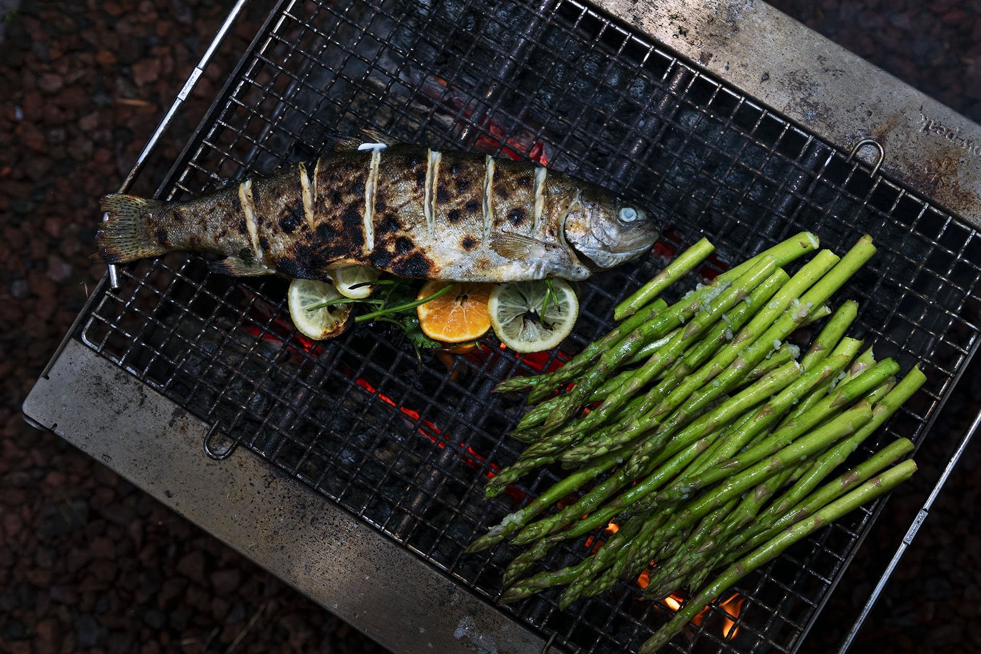 Citrus Grilled Fish