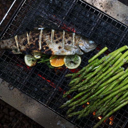 Citrus Grilled Fish