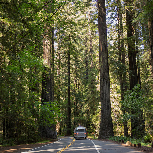 PNW Travel Reflections